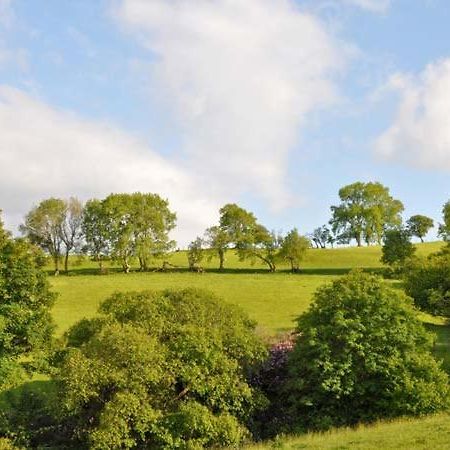 Hendre Aled Farmhouse Llansannan エクステリア 写真