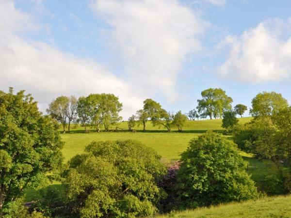 Hendre Aled Farmhouse Llansannan エクステリア 写真